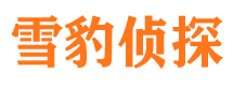 朝阳区外遇出轨调查取证